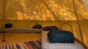 PXL_20240727_134644945.RAW-01.MP.COVER