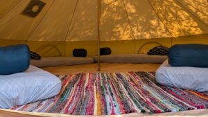 PXL_20240727_134716881.RAW-01.MP.COVER